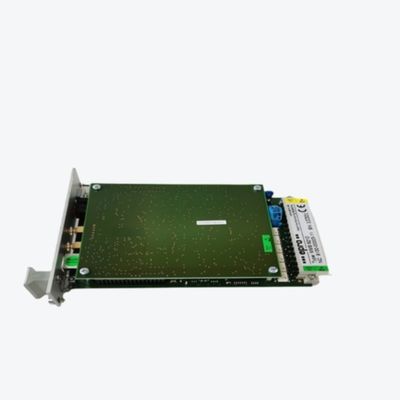 LUI un modulo entrata analogico di Manica dello SpA 8 del controllore logico programmabile F6217