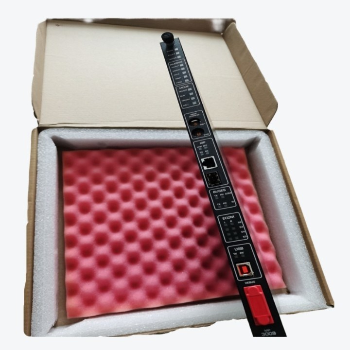 TRICONEX 9753-110 PANELLA a lungo termine di tensione di ingresso